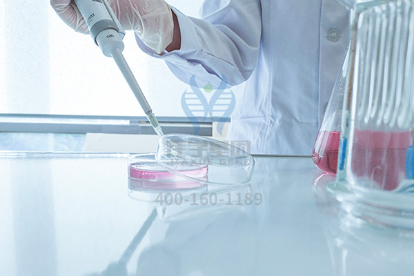 【佳学基因案例】成骨不全症基因检测、基因解码